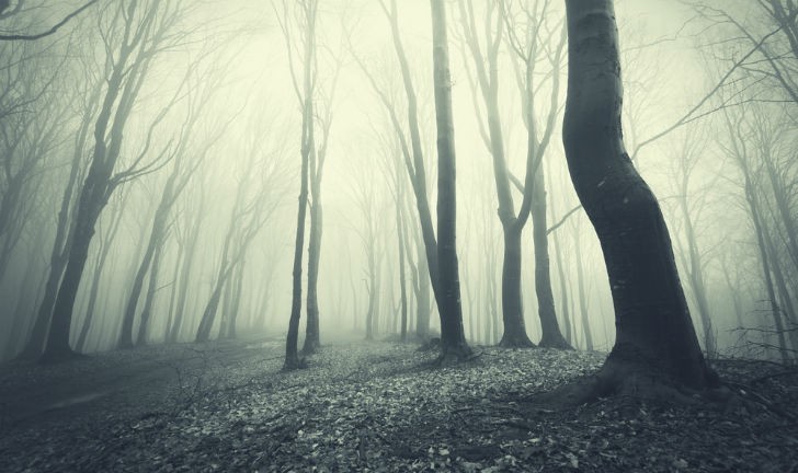 melhores livros de terror melhores livros de terror