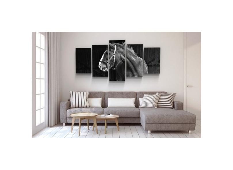 Conjunto 5 Quadros Decorativos Mosaico Caixa Alta Cavalo Equino Campo