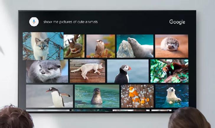 Capa do post: TVs Sony ganham suporte ao Google Assistente em português