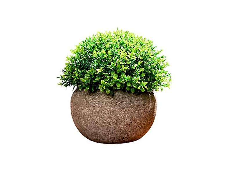 Heave Mini plantas artificiais de plástico pequenas plantas artificiais  vegetarianas arbustos de plantas artificiais com pote de cimento para casa,  banheiro, escritório, mesa, decoração verde em Promoção é no Buscapé