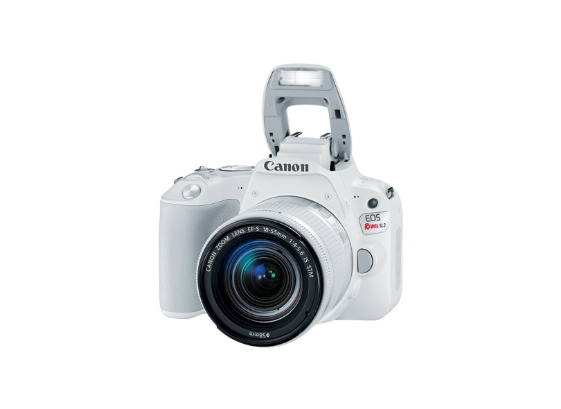 Câmera Digital DSLR(Profissional) Canon EOS 24.2 MP Full HD Rebel SL2
