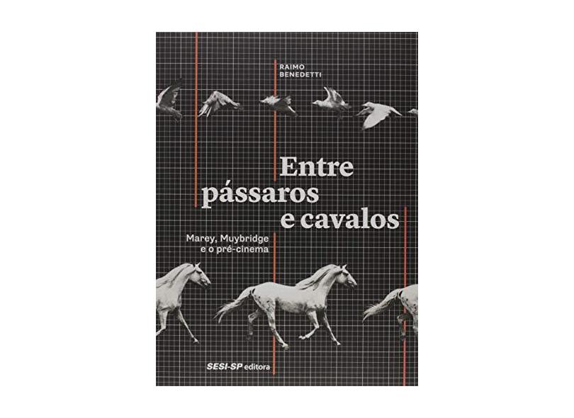 Entre Pássaros e Cavalos - Raimo Benedetti - 9788550405483