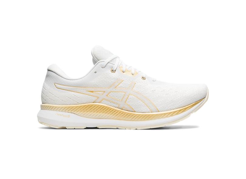 Tênis Asics Masculino Corrida Evoride