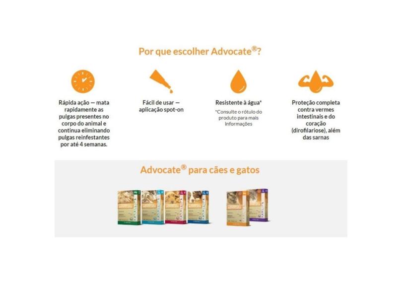 Imagem 4