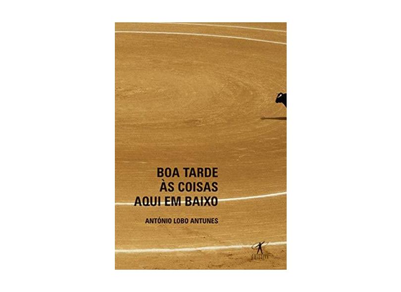 Boa Tarde Às Coisas Aqui em Baixo - Antunes, Antonio Lobo - 9788573025866