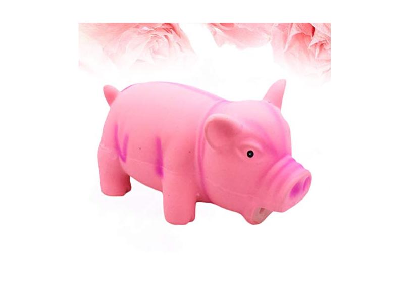 Imagem 5