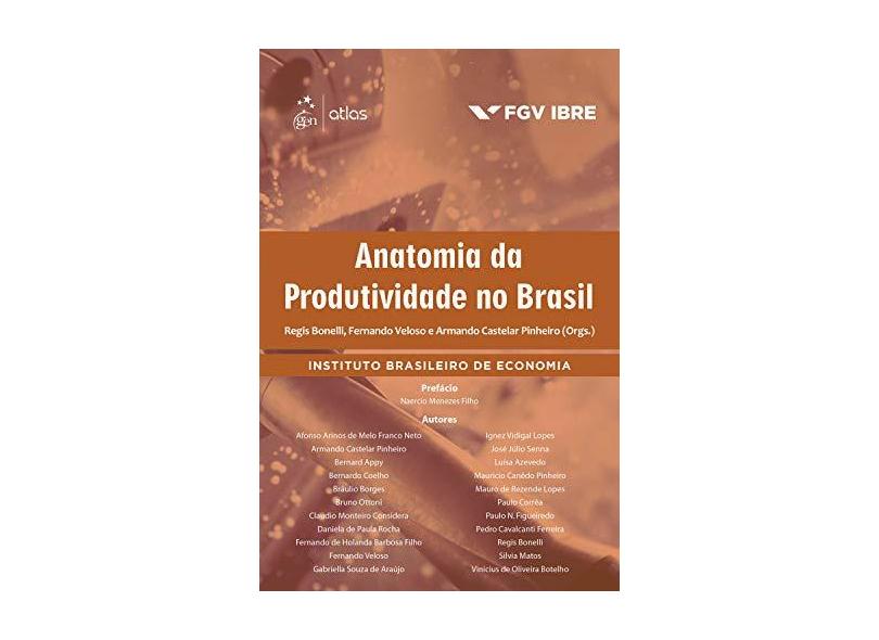 Anatomia da Produtividade no Brasil - Fernando Veloso - 9788535289329