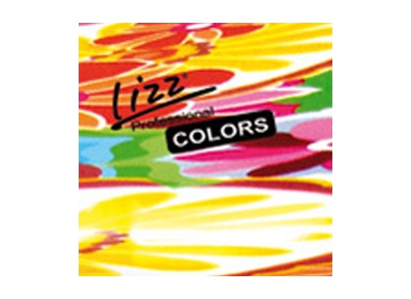 Secador de Cabelo Profissional Lizz 3800 Colors