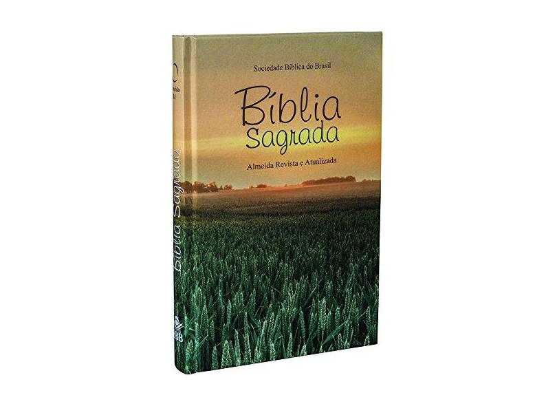 Bíblia Sagrada - Capa Dura Ilustrada. Tradicional - Vários Autores - 7898521804190