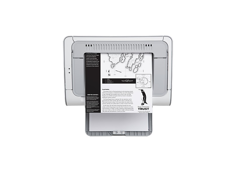 Impressora HP Laserjet Pro P1102 CE651A Laser Preto e Branco