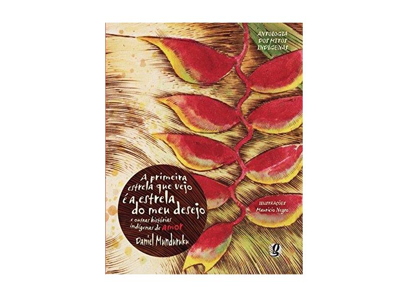 A Primeira Estrela que vejo é a Estrela do meu Desejo e Outras Histórias Indígenas de Amor - Daniel Munduruku, Mauricio Negro - 9788526010963