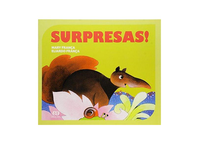 Surpresas! - Coleção Gato e Rato - Mary Fran&#231;a - 9788508176601