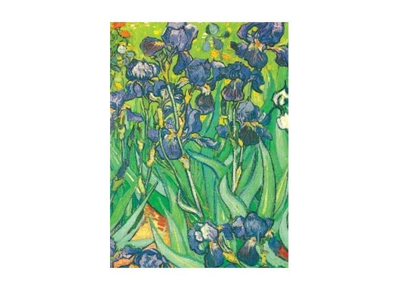 Van Gogh Notebook: 16 Art Stickers - Vincent Van Gogh - 9780486406107