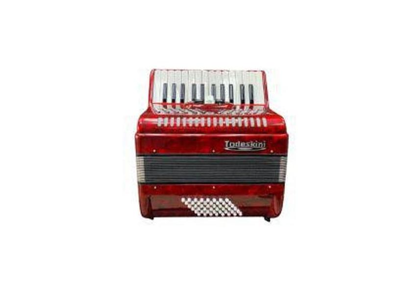 Gaita Acordeon Todeskini 48 Baixos 3 Reg - Vila Brasil