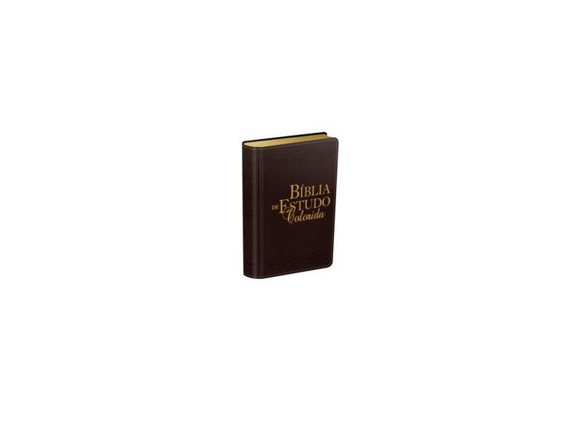 Bíblia de Estudo Colorida - Vinho - Bukod Books, - 9788581580623