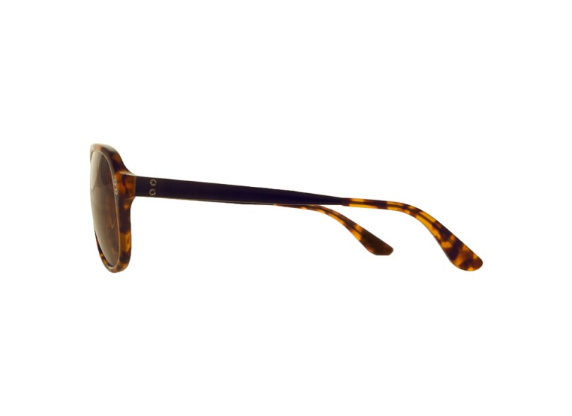 Óculos de Sol Feminino Converse -  New League