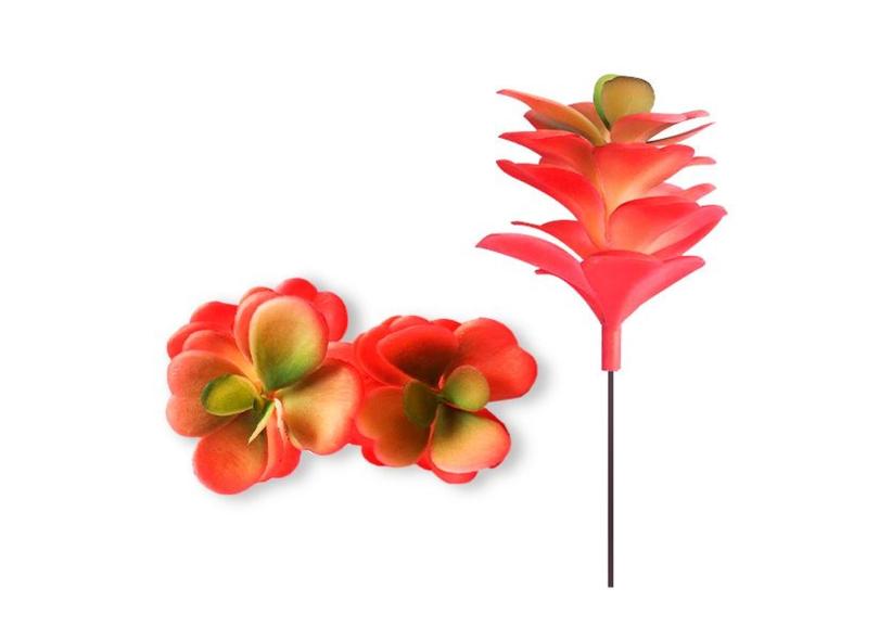 Imagem 10