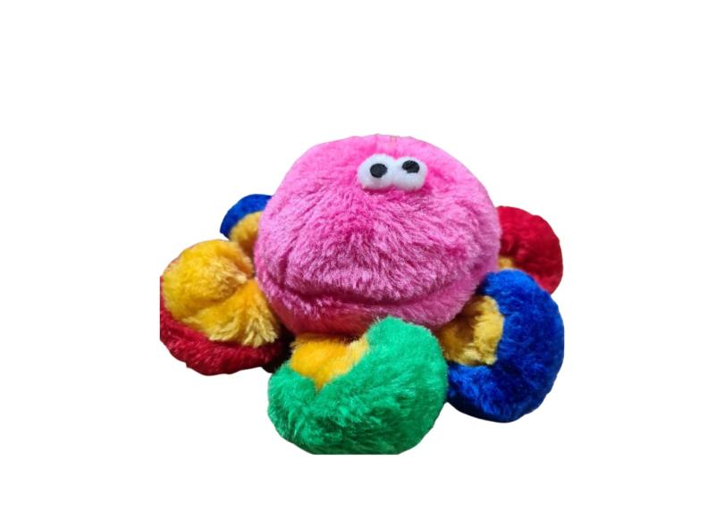 Imagem 11