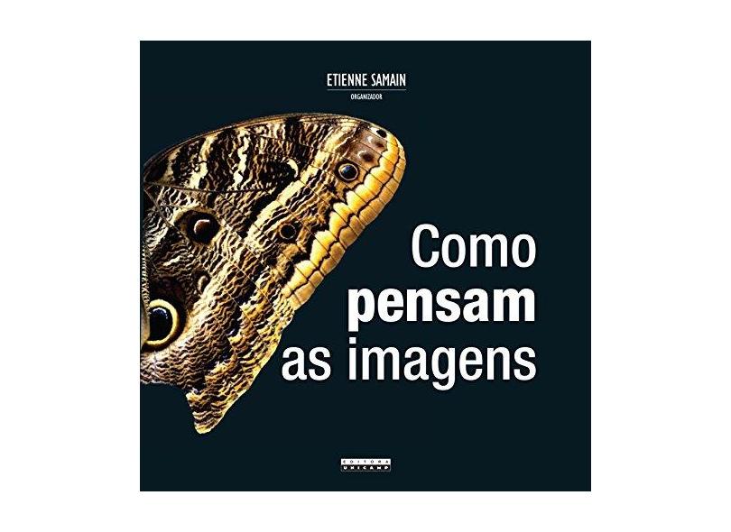 Como Pensam As Imagens - Capa Comum - 9788526809611