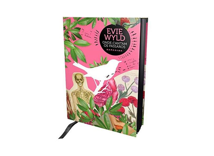 Onde Cantam Os Pássaros - Wyld, Evie - 9788566636529