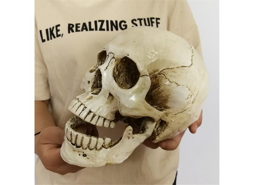 Imagem 10