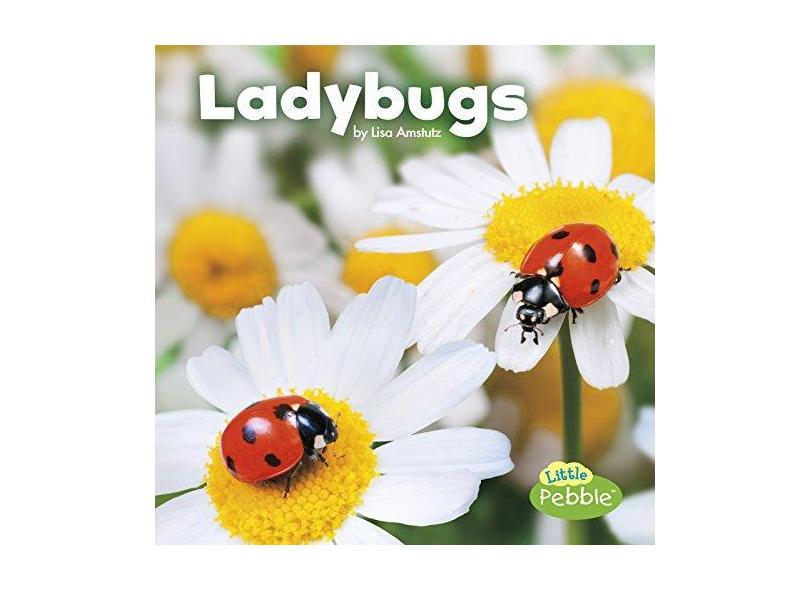 Ladybugs - Lisa J Amstutz - 9781515719410
