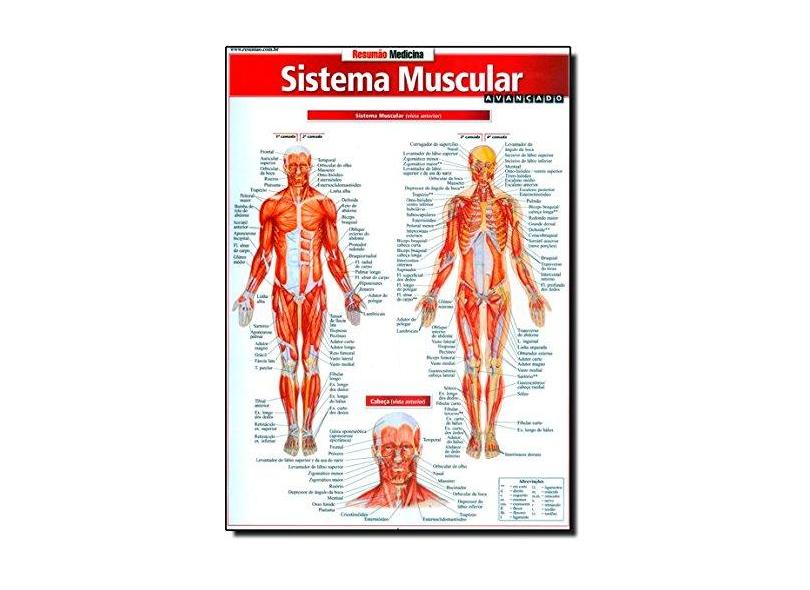 Sistema Muscular - Avançado - Col. Resumão Medicina - & Associados, Barros Fischer - 9788577112401