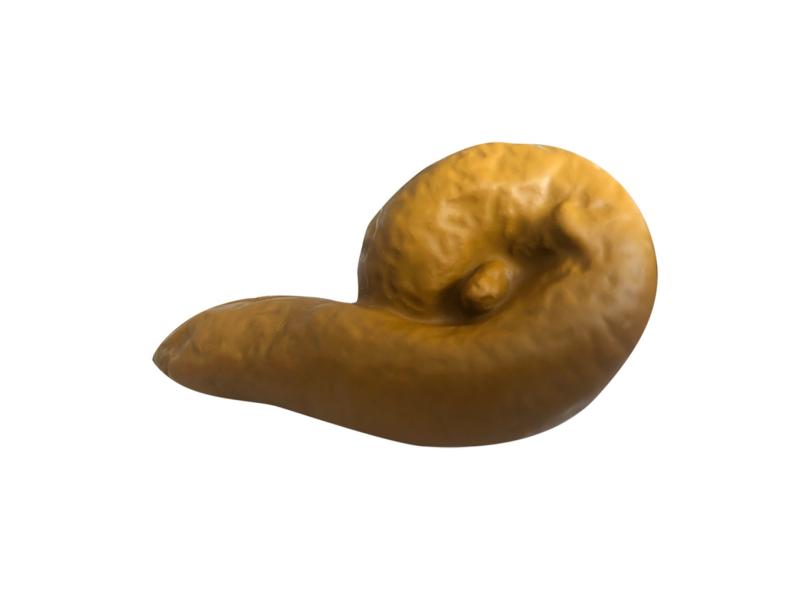 Imagem 4