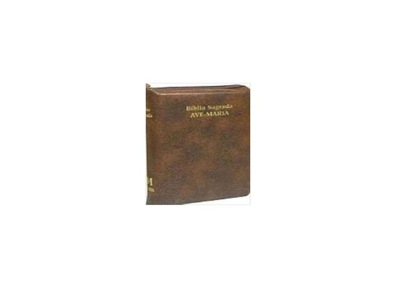 Bíblia Sagrada com Zíper - Média - Castro, Joao Jose Pedreira De - 9788527605298
