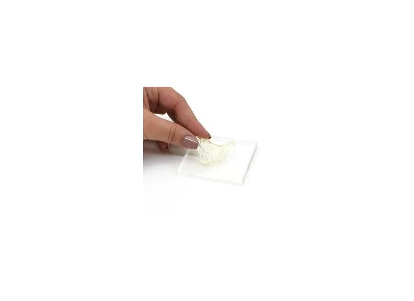 PRODUCT_ZOOM