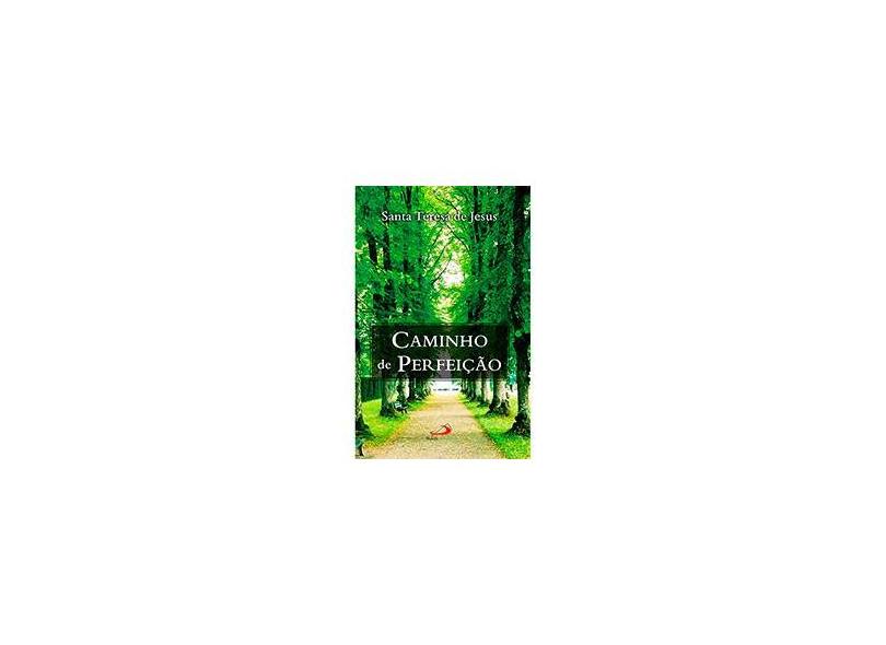 Caminho De Perfeiçao - Teresa De Jesus - 9788534911801