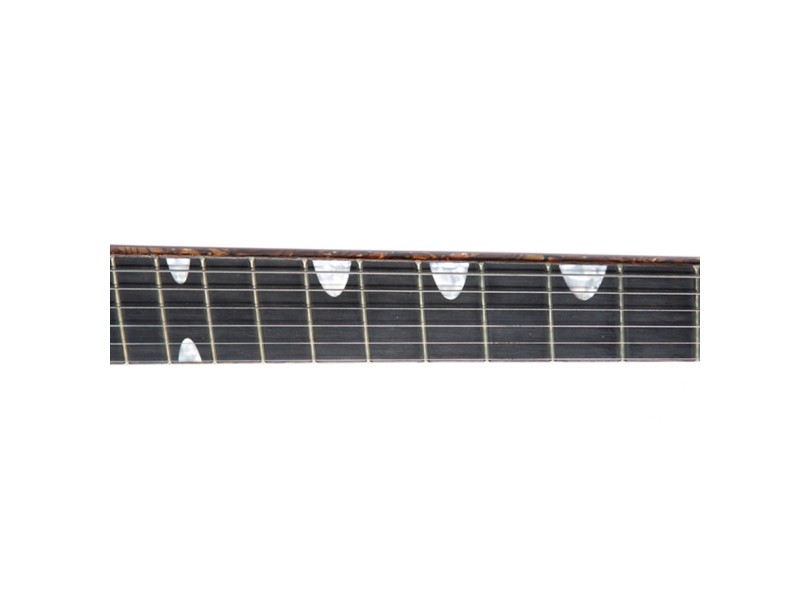 Guitarra Semiacústica L5S  Waldman GHJ-140