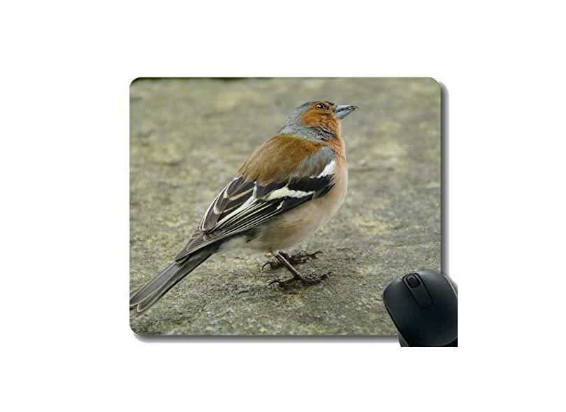 Mouse pad YENDOSTEEN com borda de bloqueio, mouse pad para jogos Cloud Kalundborg Bird Vsco Clouds Blue Sky personalizado retangular