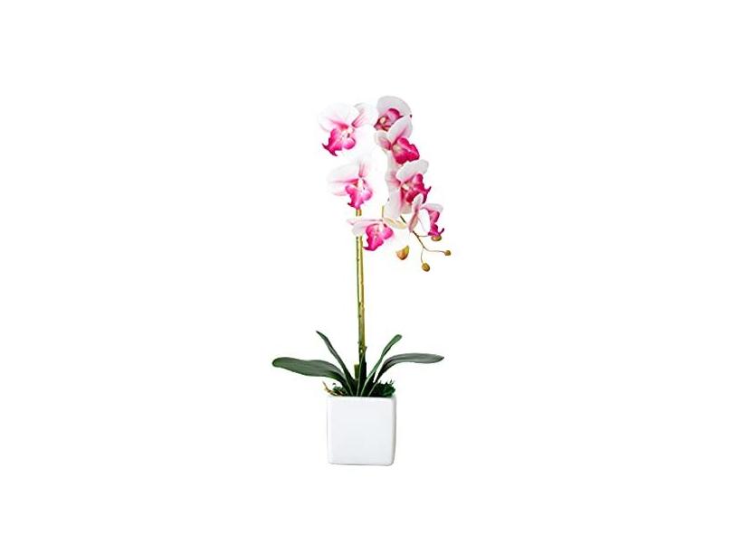 FASW Orquídeas artificiais, plantas de flores artificiais com vasos,  orquídeas falaenopsis artificiais para decoração de escritório em casa em  Promoção é no Buscapé