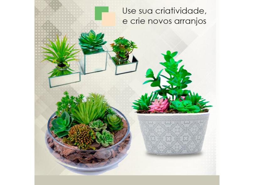 Imagem 6