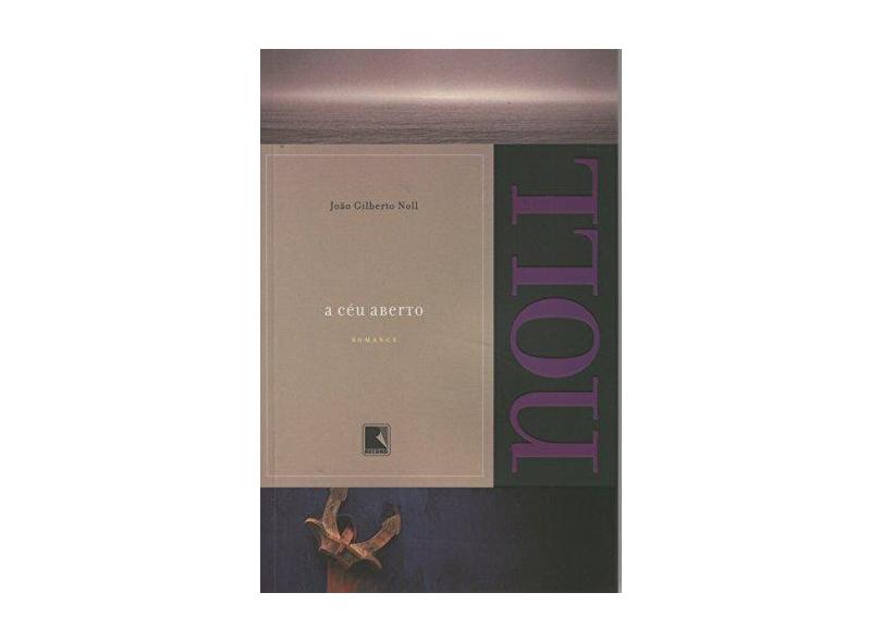 A Céu Aberto - Noll, João Gilberto - 9788501080332