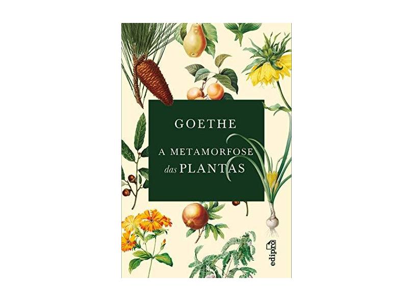 A Metamorfose das Plantas - Johann Wolfgang Von Goethe - 9788552100713