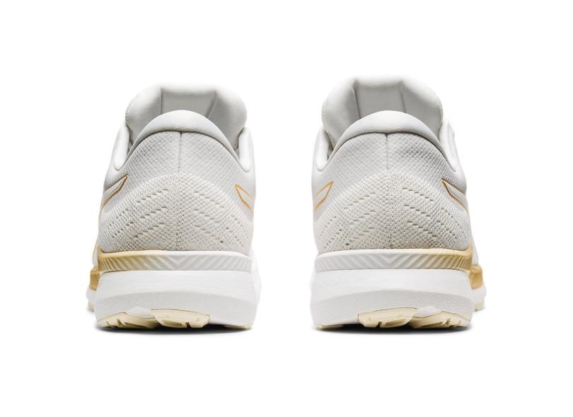 Tênis Asics Masculino Corrida Evoride