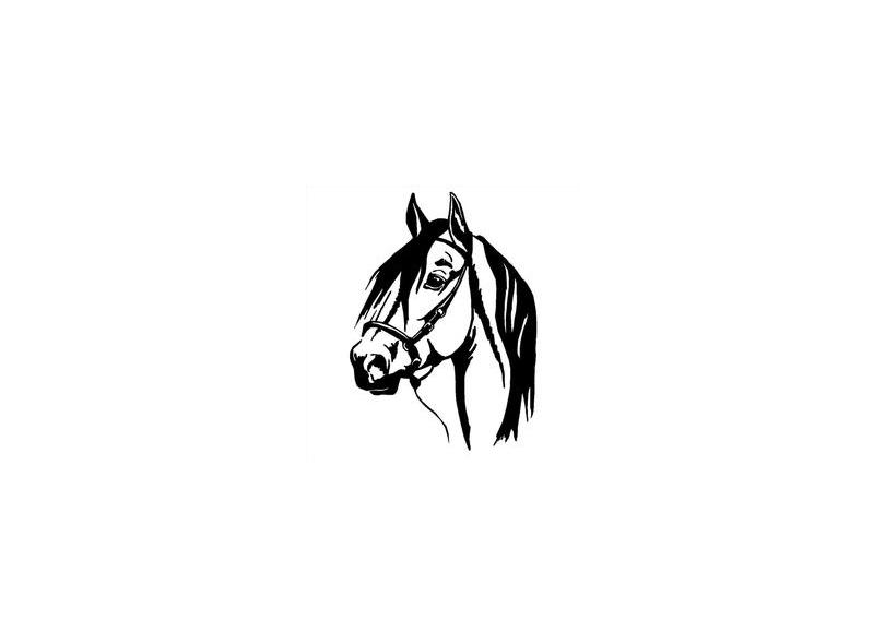 Adesivo Per Auto A Tema Western - Cowgirl Con Cavallo - 210x130 Mm - Resistente Alle Intemperie
