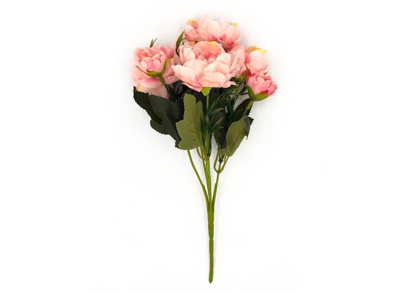 Imagem 11