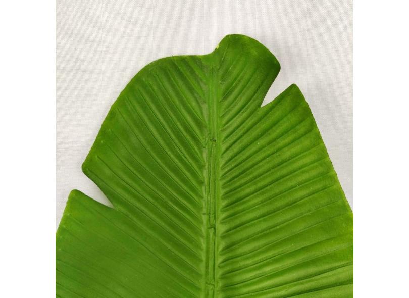 Imagem 4