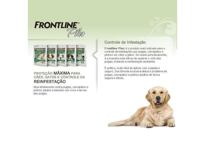 Imagem 4