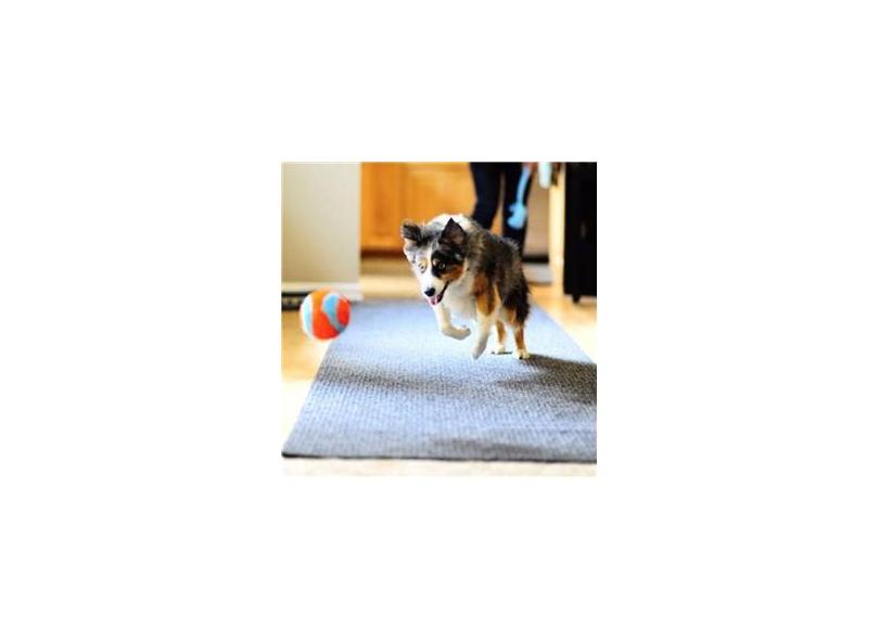 PRODUCT_ZOOM