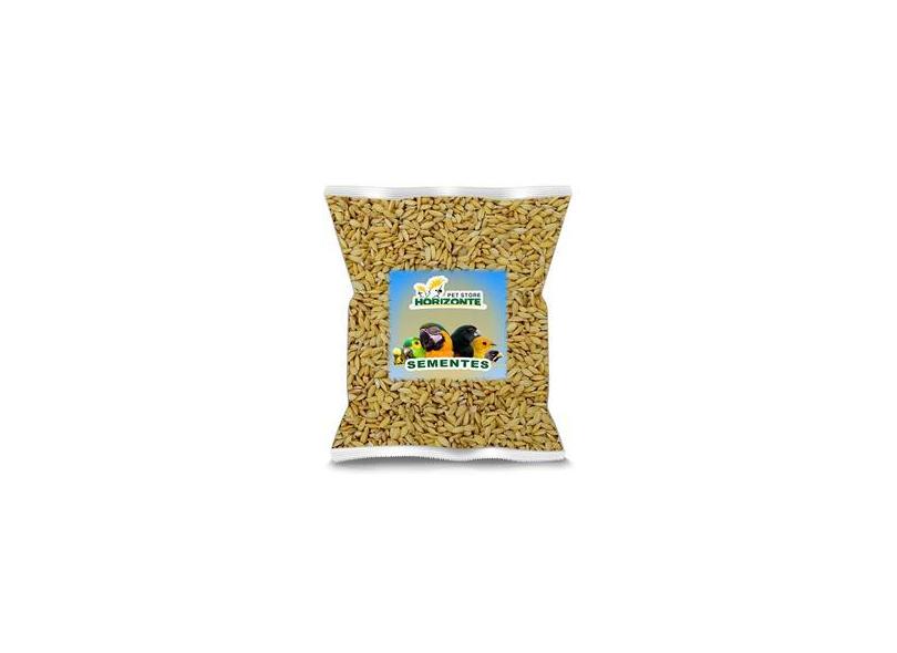 Arroz Cateto - 1kg com o Melhor Preço é no Zoom