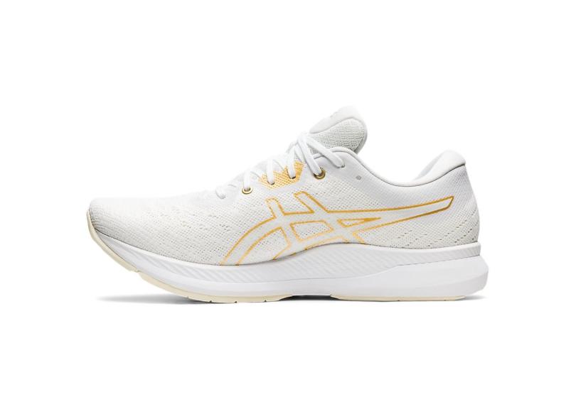Tênis Asics Masculino Corrida Evoride