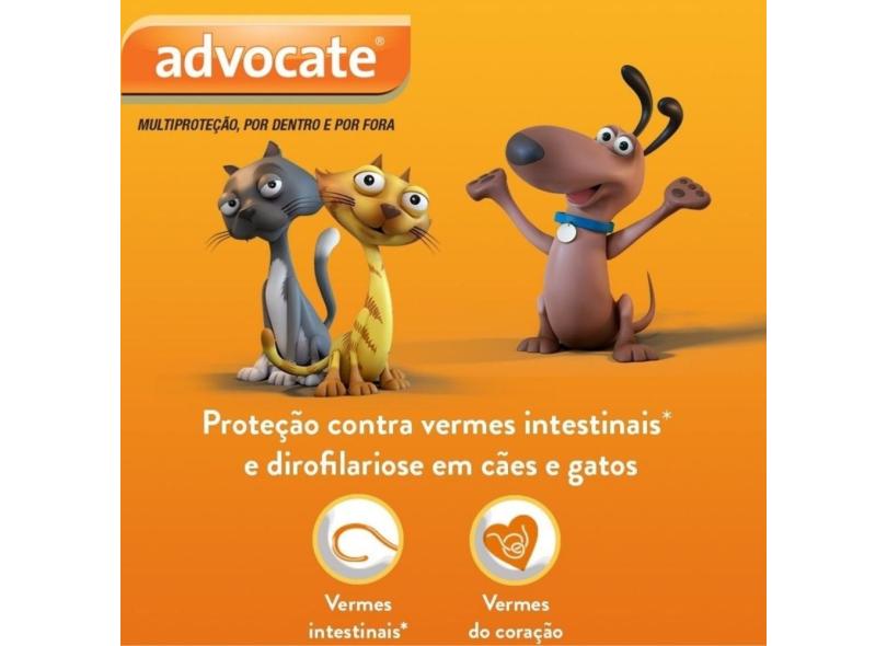 Imagem 5