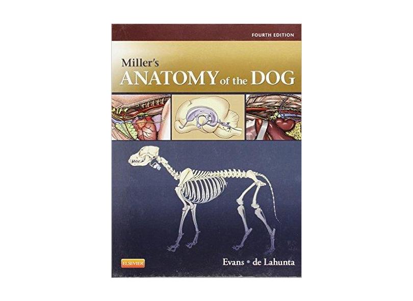 MILLERS ANATOMY OF THE DOG - Oward E. Evans Phd (author),  Alexander De Lahunta (author),  Alexander De Lahunta Dvm Phd (au - 9781437708127