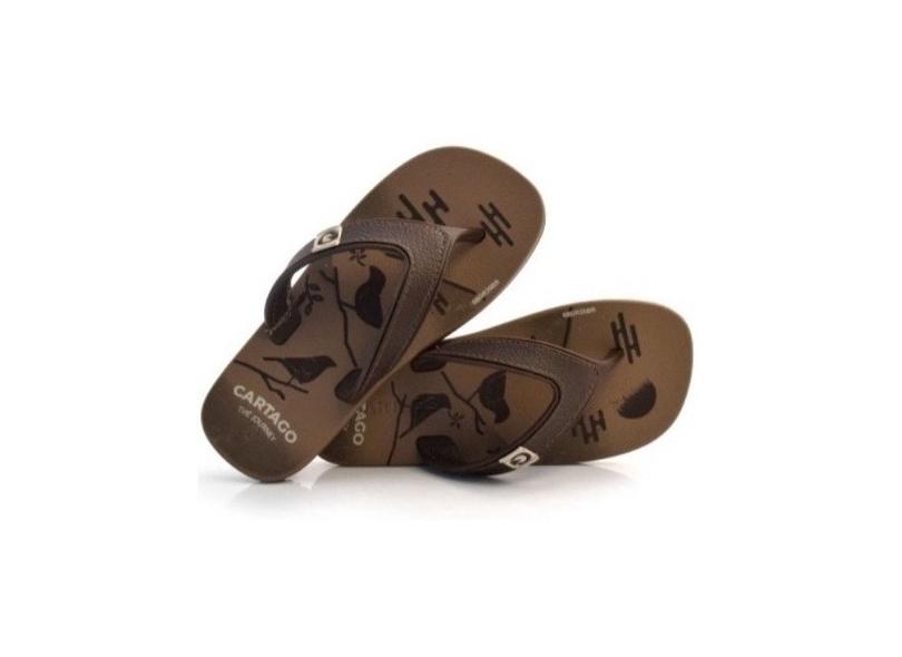 Chinelo Cartago Dakar 10808 Infantil Promoção Grendene com o Melhor Preço é  no Zoom