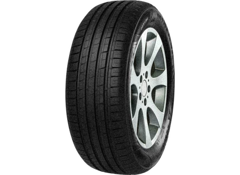 Pneu Minerva Aro 16 205/55R16 91V F209