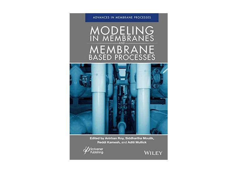 Modeling in Membranes and Membrane-Based Processes: Industrial Scale ...